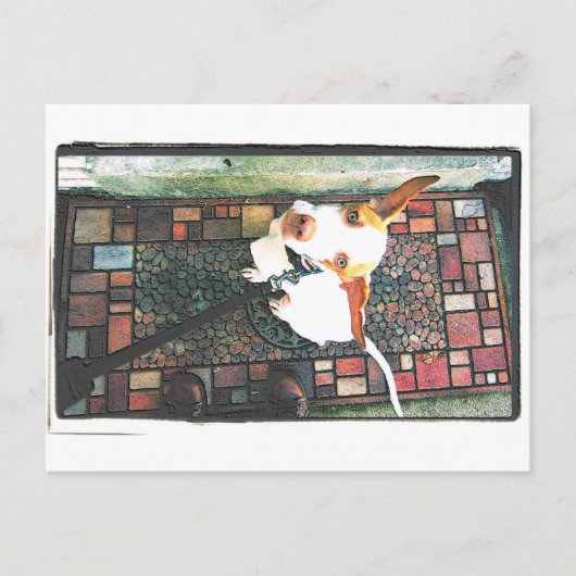 入れて ポストカード (正面)