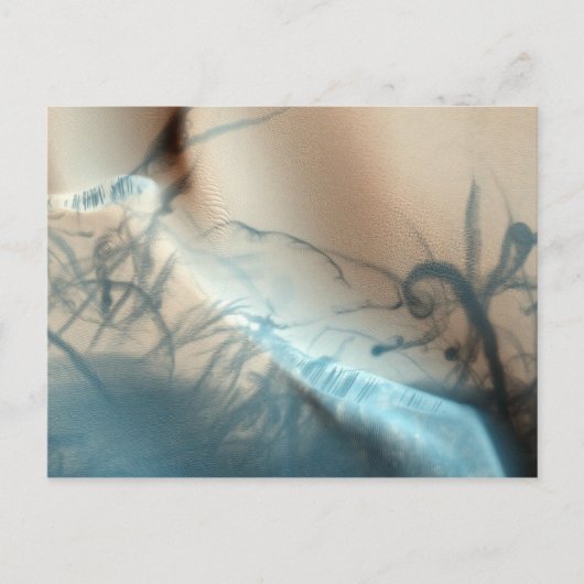 入れ墨火星はがき ポストカード (正面)