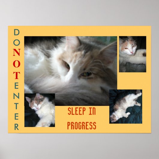 入力しない….. ポスター (正面)