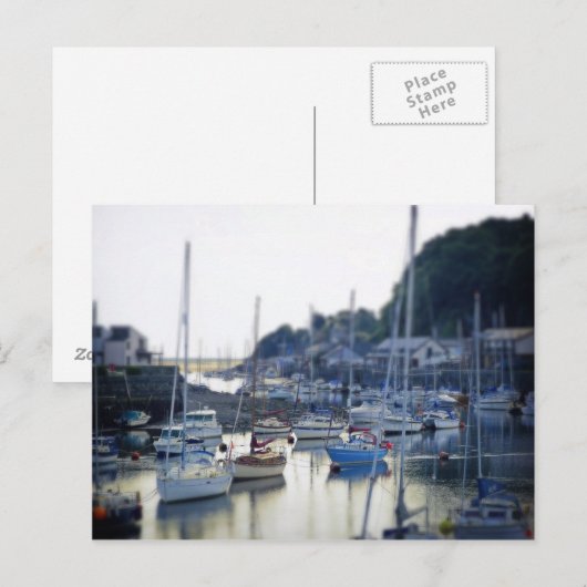 入力ポート ポストカード (正面/裏面)