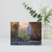 入口 ポストカード (スタンド正面)