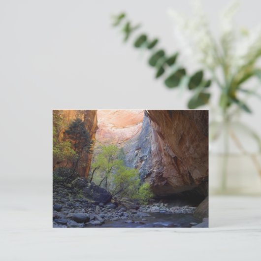 入口 ポストカード (スタンド正面)