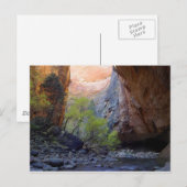 入口 ポストカード (正面/裏面)