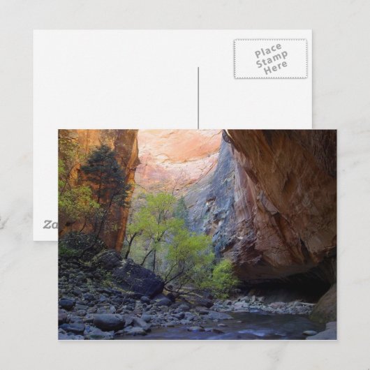 入口 ポストカード (正面/裏面)