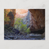 入口 ポストカード (正面)