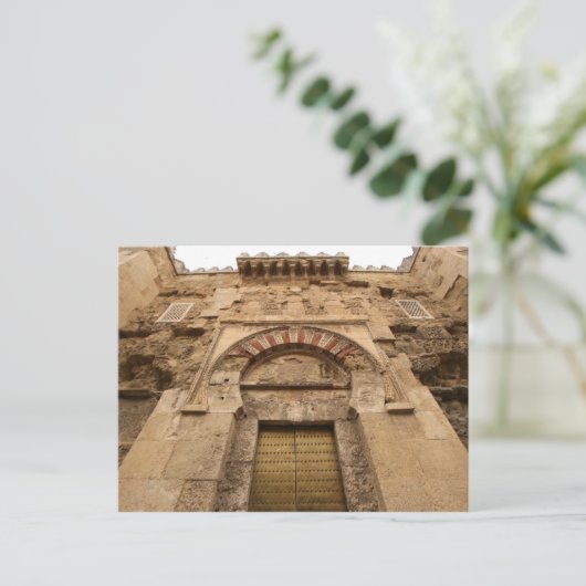 入口 ポストカード (スタンド正面)