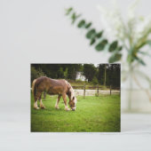 入浴後荷車を引くの放牧 ポストカード (スタンド正面)