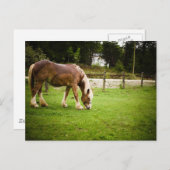 入浴後荷車を引くの放牧 ポストカード (正面/裏面)