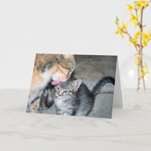 入浴時間 カード (黄色い花)