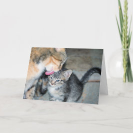 入浴時間 カード