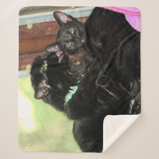 入浴時間 シェルパブランケット (正面)