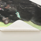 入浴時間 シェルパブランケット (3/4)