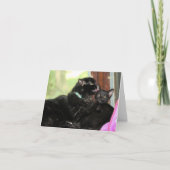 入浴時間 シーズンカード (正面)