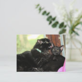 入浴時間 シーズンポストカード (スタンド正面)