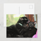 入浴時間 シーズンポストカード (正面/裏面)