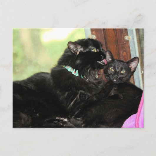 入浴時間 シーズンポストカード (正面)