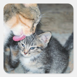 入浴時間 スクエアシール