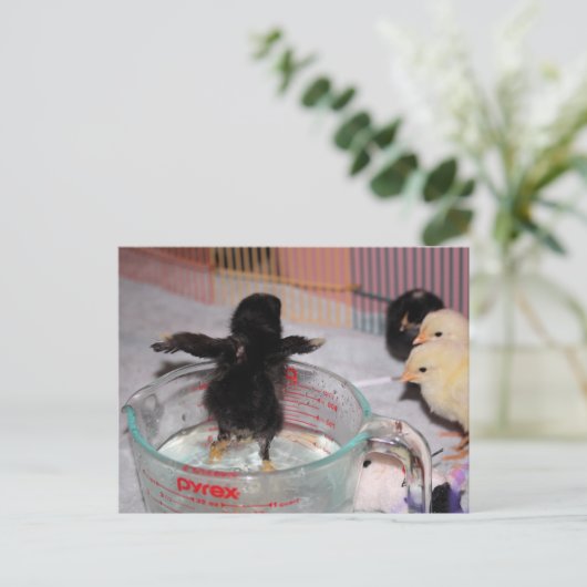 入浴時間 ポストカード (スタンド正面)