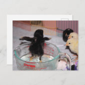 入浴時間 ポストカード (正面/裏面)