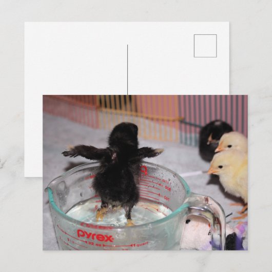 入浴時間 ポストカード (正面/裏面)