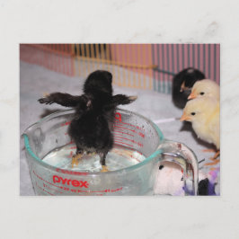 入浴時間 ポストカード