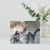 入浴時間 ポストカード (スタンド正面)