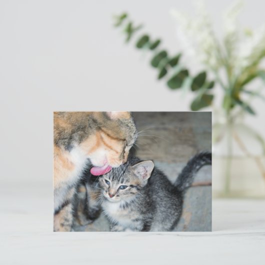 入浴時間 ポストカード (スタンド正面)