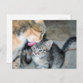 入浴時間 ポストカード (正面/裏面)