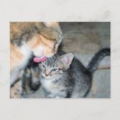 入浴時間 ポストカード (正面)