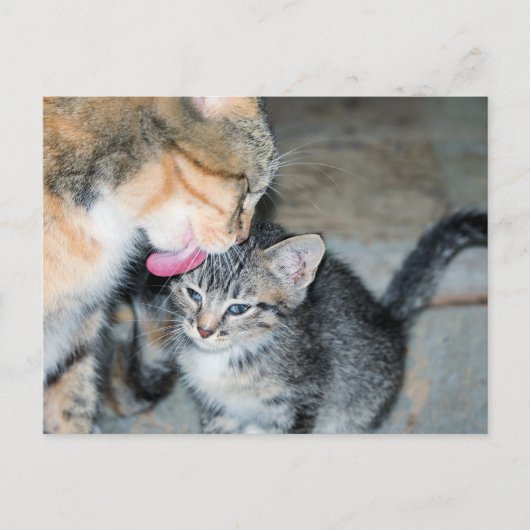 入浴時間 ポストカード (正面)