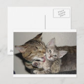 入浴時間 ポストカード (正面/裏面)