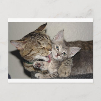 入浴時間 ポストカード