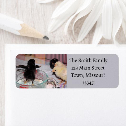 入浴時間 ラベル (インサイチュ)