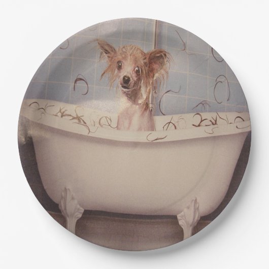 入浴用の子犬 ペーパープレート (正面)