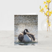 入浴用ガチョウの自然写真 カード (黄色い花)