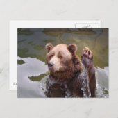 入浴用ブラウンベア葉書 ポストカード (正面/裏面)