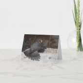 入浴美しいのメモまたはグリーティングカード カード (裏面)