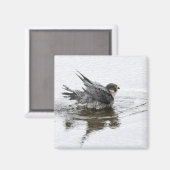 入浴美しい磁石 マグネット (正面/裏面)