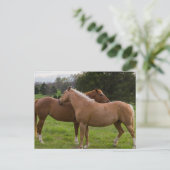 入浴美しい葉書 ポストカード (スタンド正面)