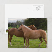 入浴美しい葉書 ポストカード (正面/裏面)