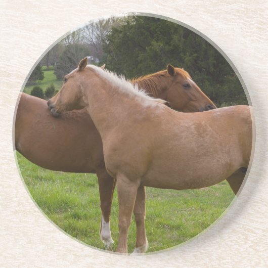 入浴美しい コースター (正面)