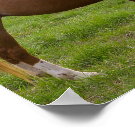 入浴美しい ポスター (角)