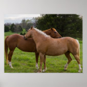 入浴美しい ポスター (正面)