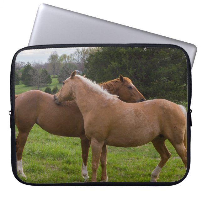 入浴美しい ラップトップスリーブ (正面)