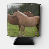 入浴美しい 缶クーラー (正面)