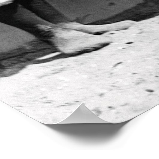 入浴美しいFLORIDA 1920 ポスター (角)