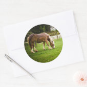 入浴荷車を引く後放牧 ラウンドシール (封筒)