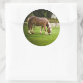 入浴荷車を引く後放牧 ラウンドシール (バッグ)