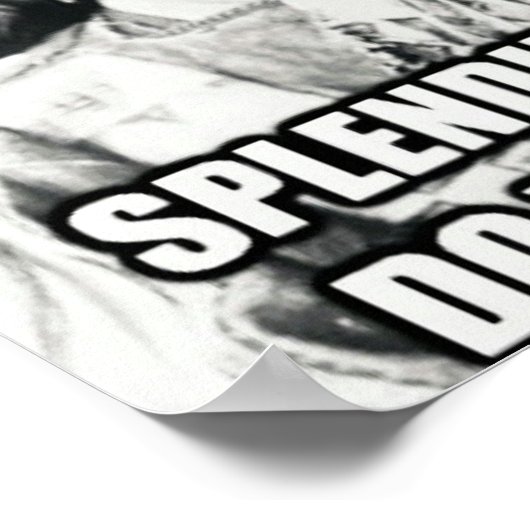 入管先住民 ポスター (角)