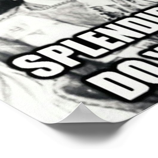 入管先住民 ポスター (角)